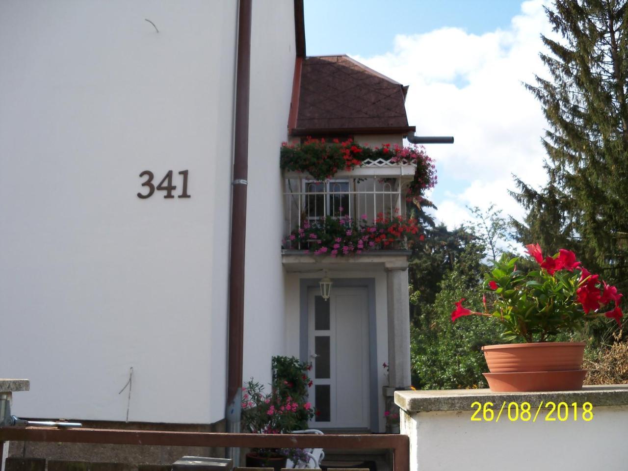 Penzion IV Hazlov Exterior photo
